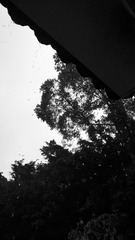 1057039
