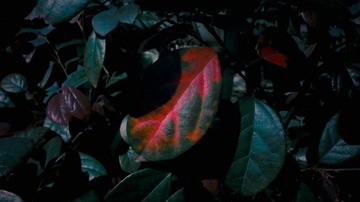 1057271