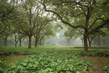 G-profoto100_35