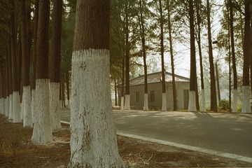 GYX_profoto100_03