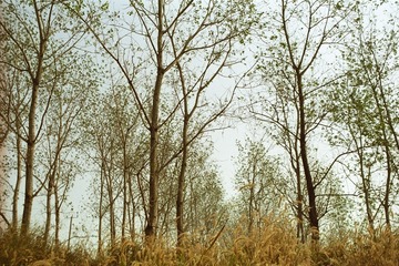 GYX_profoto100_16