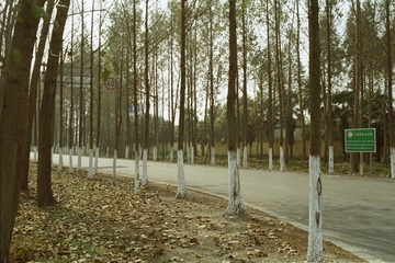GYX_profoto100_21