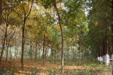 GYX_profoto100_25