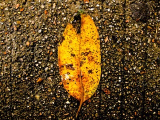 IMG_20160411_183550