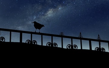 001