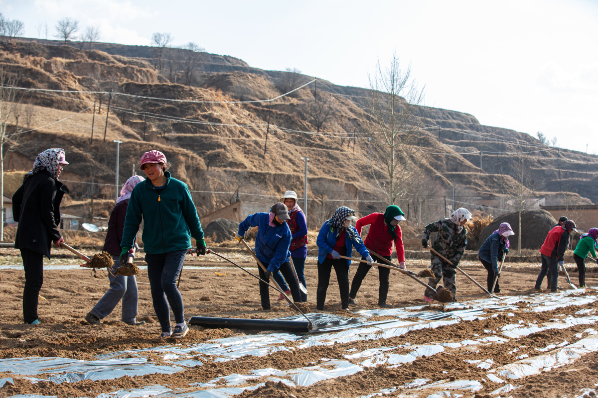 甘肃会宁春耕进行时田间地头呈现一派繁忙景象