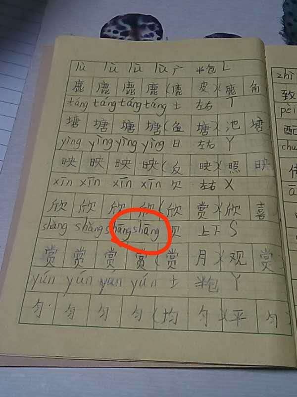 象棋的动词怎么填的,什么象棋填动词一个字