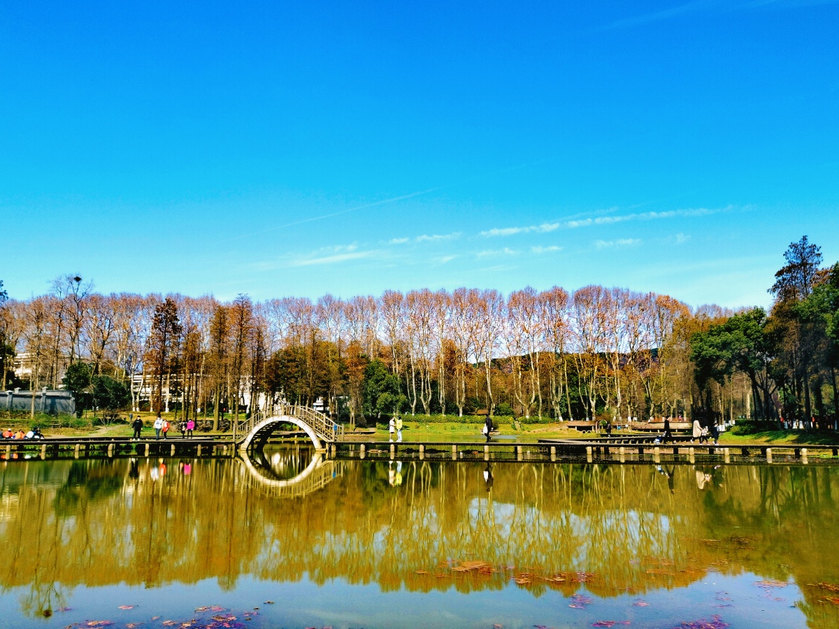 初春的武汉植物园2