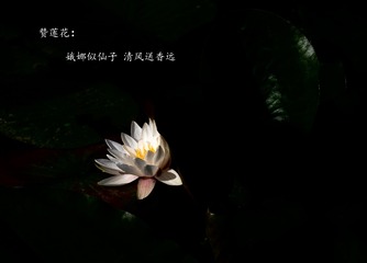 1535189