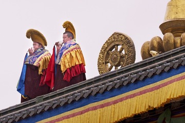 4.IMGP6421