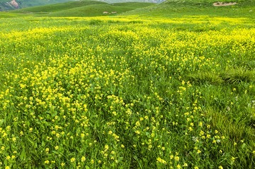 8CF3D003-3150-40AA-8881-33CB918D1DC1/L0/001