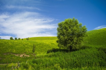 20129DF1-8807-4990-8C90-3276CE4E3199/L0/001