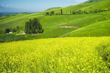 F5815F23-8DAA-482C-87F1-96E3F8A7E5D7/L0/001