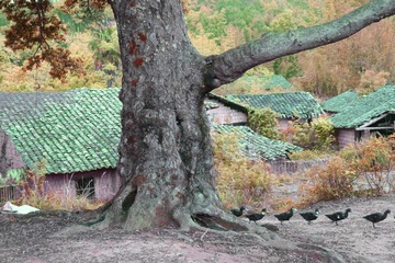 归途