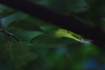 微信图片_2019070422040014