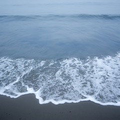 _P1Q9635