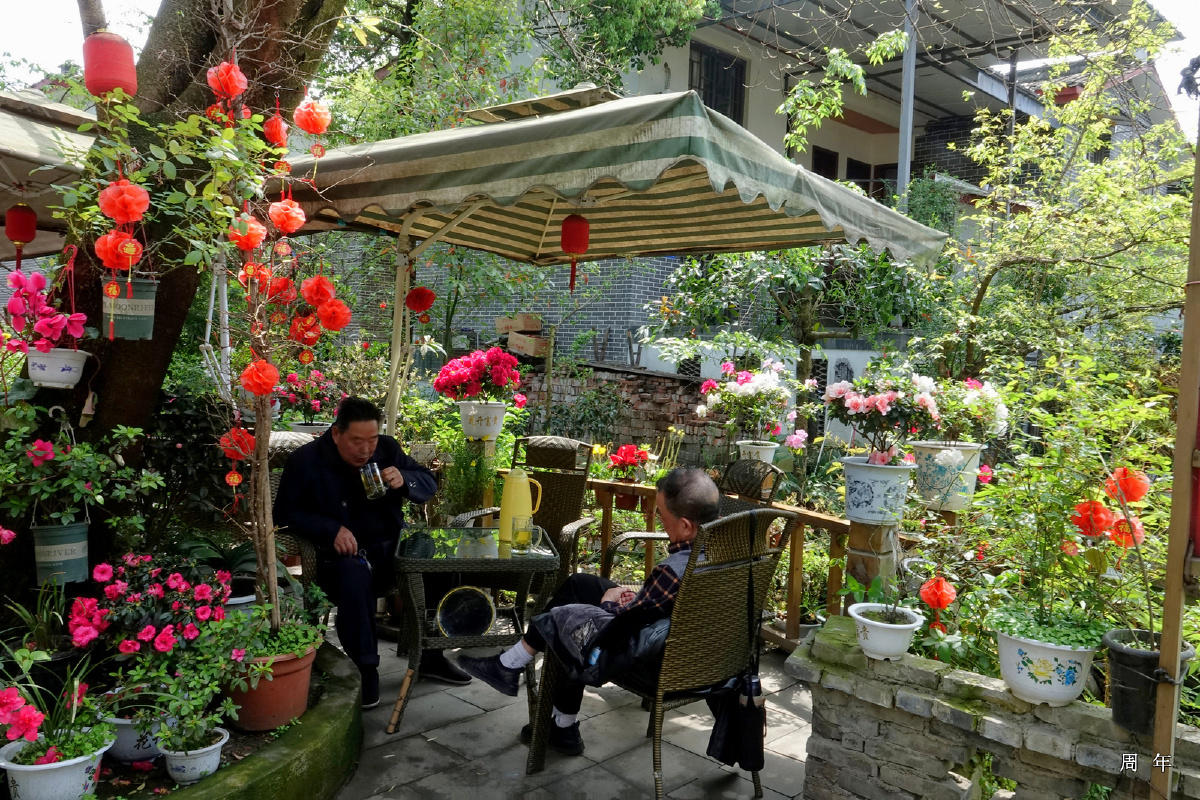 成都青杠树村