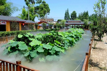 DSC09150