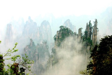 IMG_3351-2