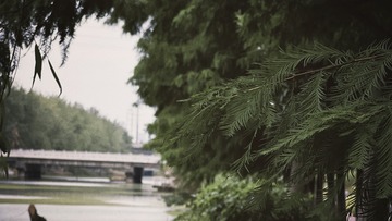342AD96B-B5CF-4911-8FD2-6D25AAFDEEC2/L0/001