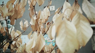 1F0C9601-011B-4A0D-9335-F0AD8E0589C6/L0/001