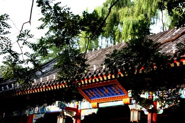 北大校门