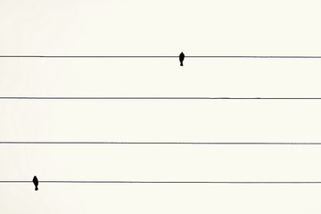 Optional(
