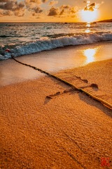 MTY_3055