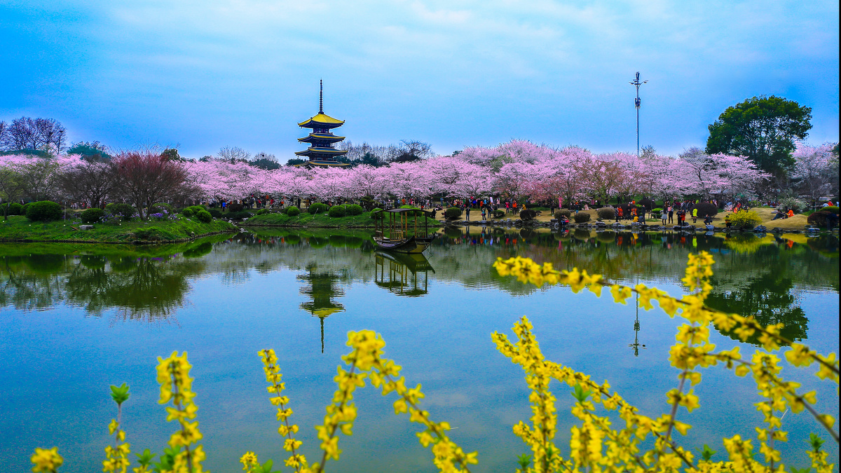 武汉东湖樱园