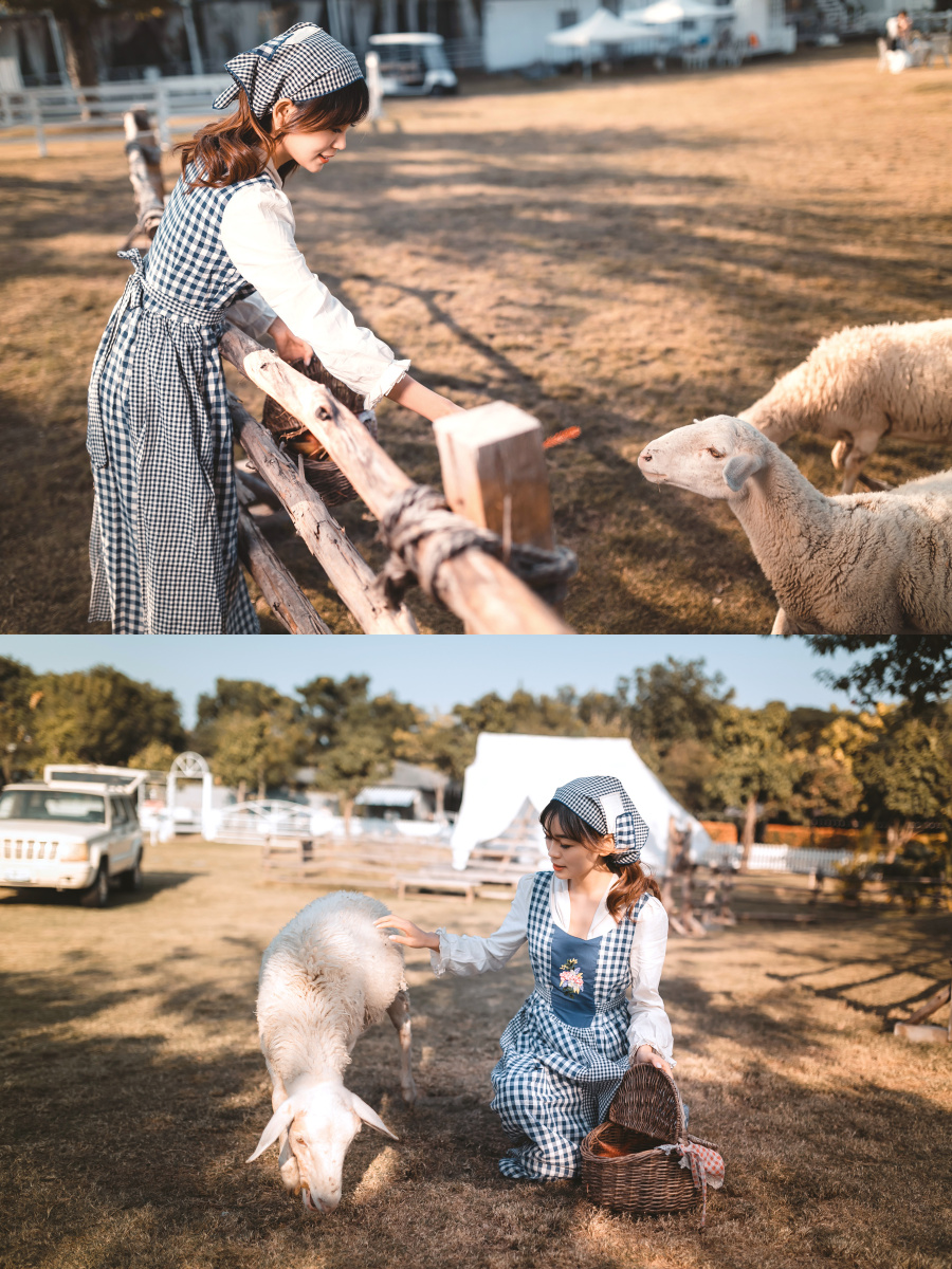 牧羊女77那天虽然有太阳但风大有点冷美女的田园风