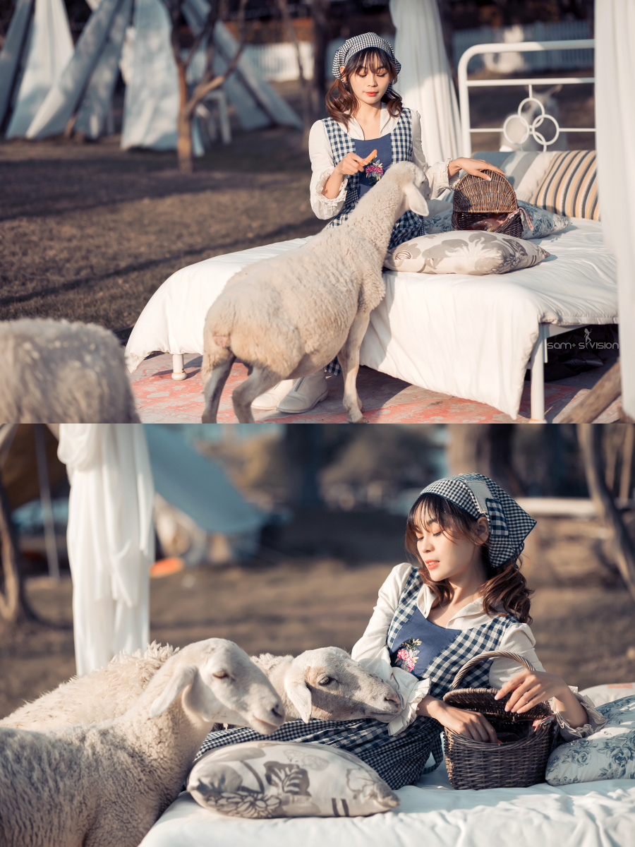 牧羊女77那天虽然有太阳但风大有点冷美女的田园风