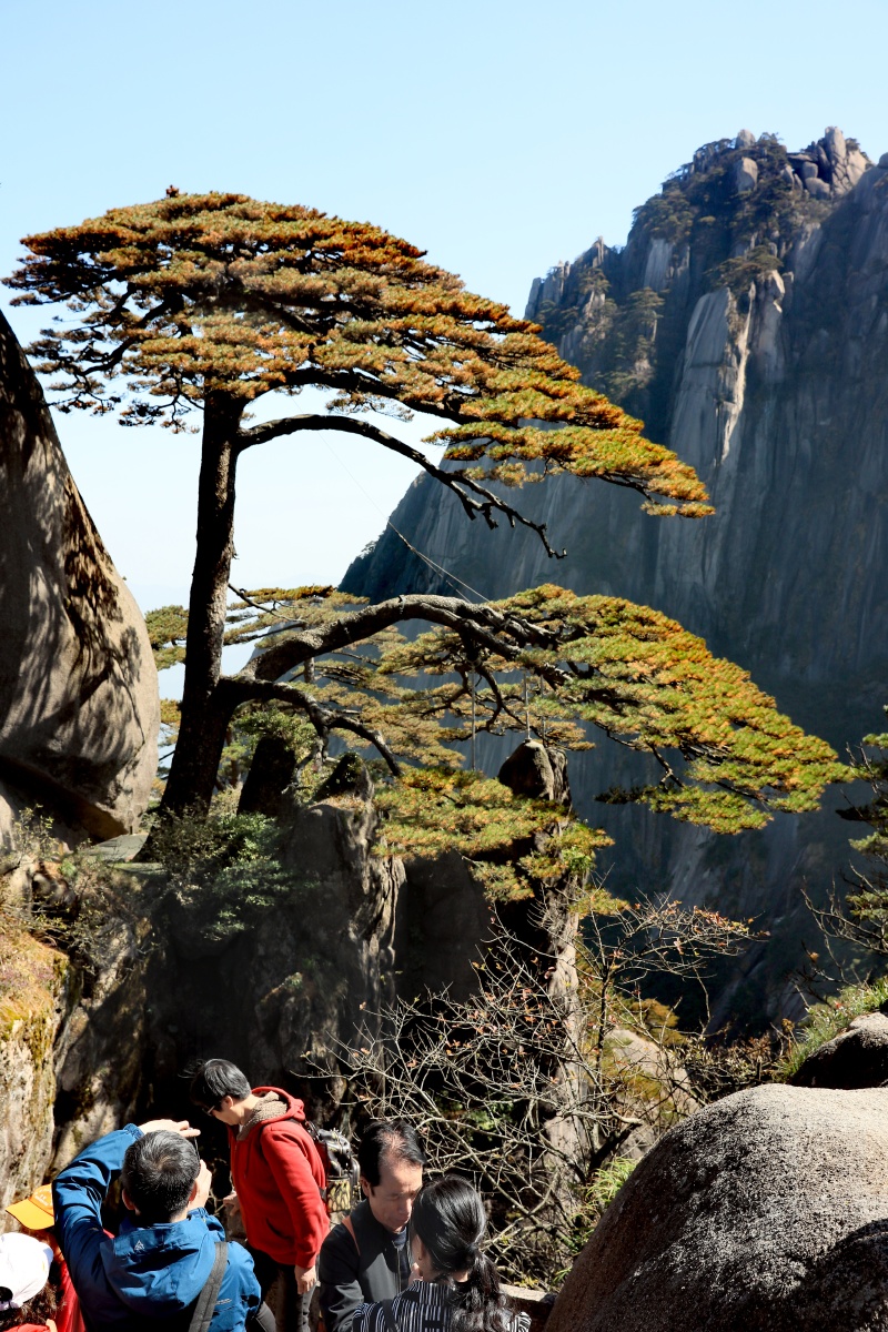 黄山迎客松,2020年10月23日摄于黄山玉屏山景区 - 一瓮清泉风光摄影