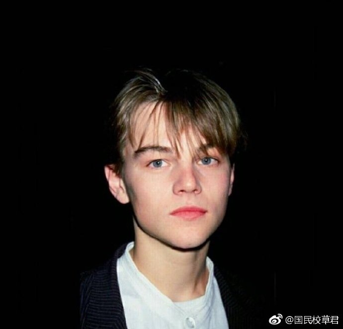 盛世美颜莱昂纳多