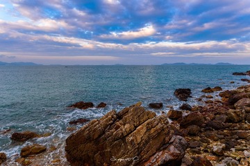 DSC_2865-编辑-2