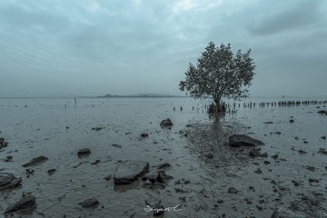 DSC_3771-编辑