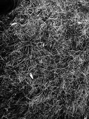 Camera360_2013_12_6_033741