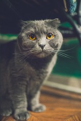 558910