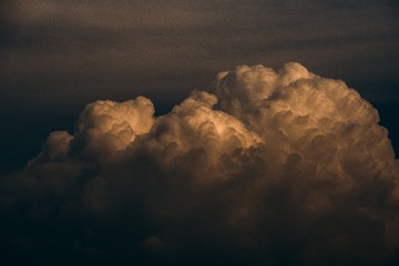 1000157614