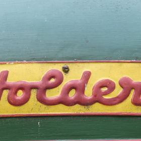 尖头麦蝽 aelia acuminata3张