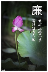 出淤泥而不染