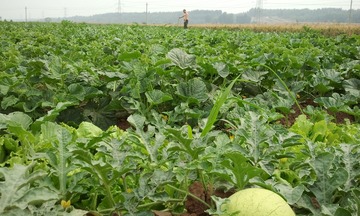 IMG_20120603_153011