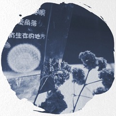 1913250
