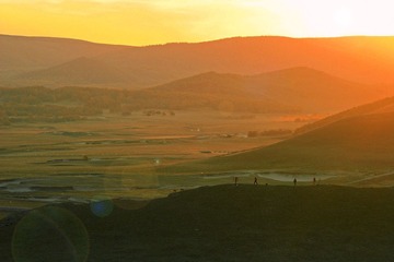 IMG_7994.jpg