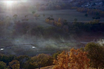 IMG_8574.jpg