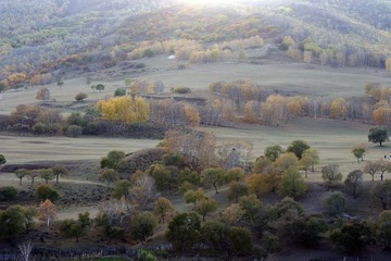 IMG_8583.jpg