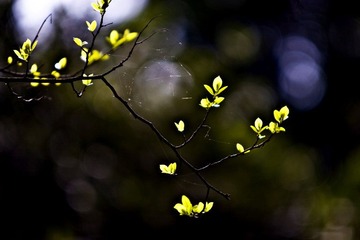 _MG_7350.jpg