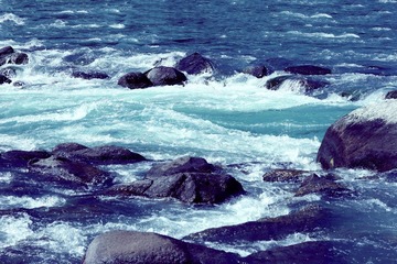 IMG_6866.jpg