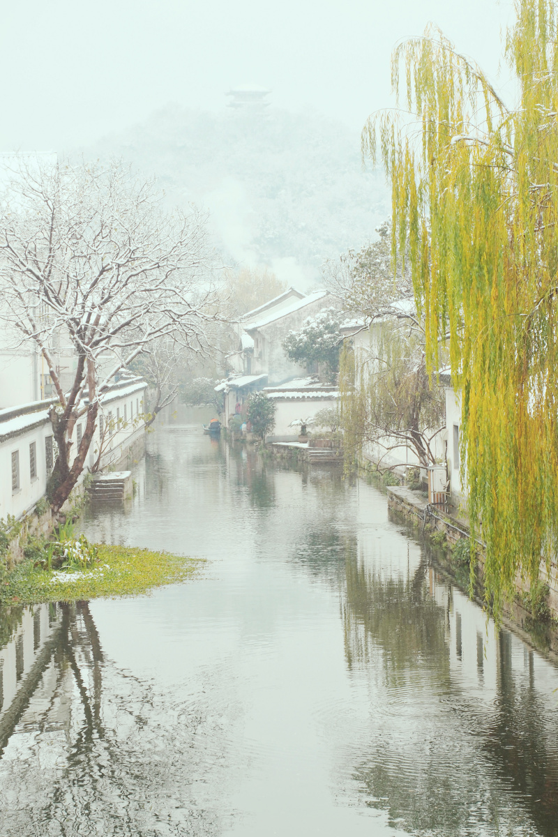 江南雪