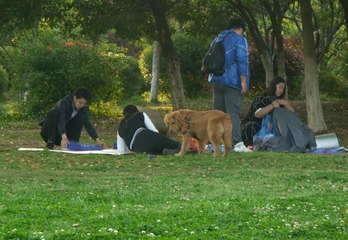 PICT0351