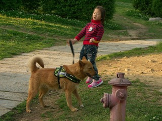 PICT0360